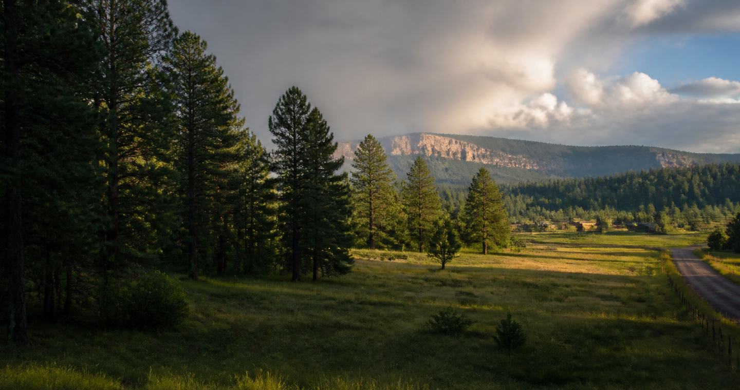 Ponderosa pine forest, meadow, and distant rim landscape in Arizona high country